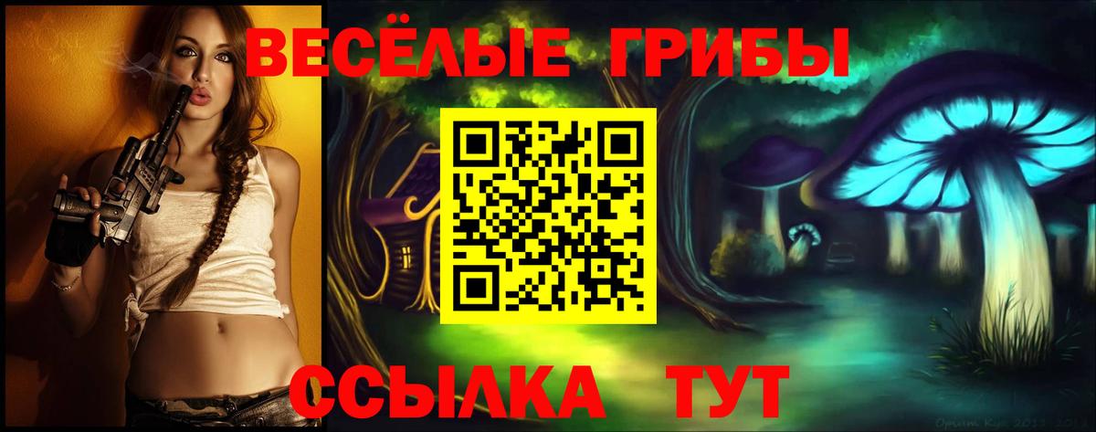 Псилоцибиновые грибы Psilocybe Воркута